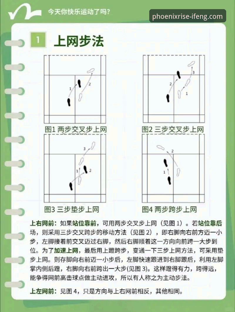 凤凰体育使用教程推荐：从新手到高手的完整操作指南